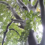 Kranichruf Apartman Schöneberg