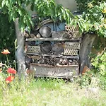 Kranichruf Apartman *