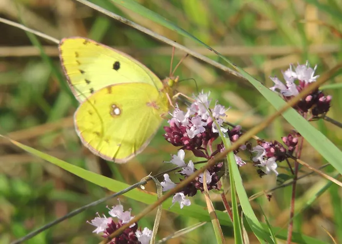 Apartamento Kranichruf