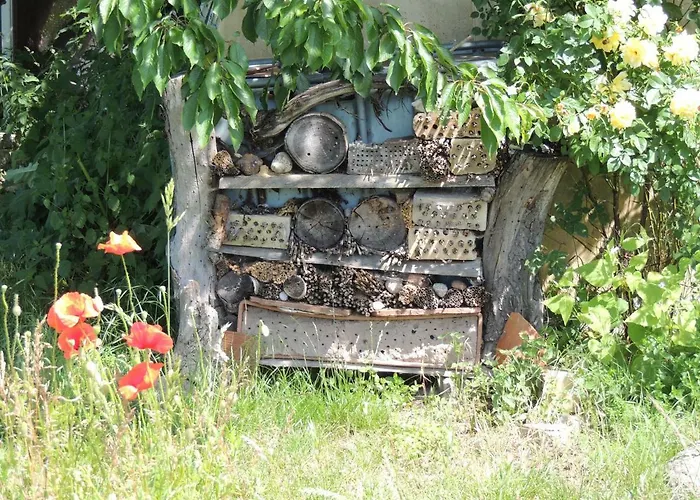 Kranichruf Apartamento *